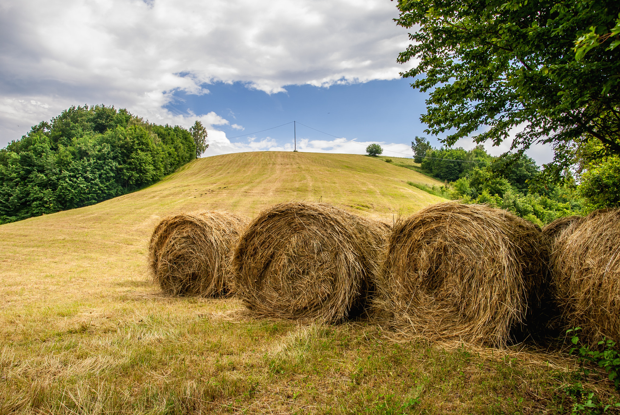 Nikon D3000 sample photo. Summer.... photography