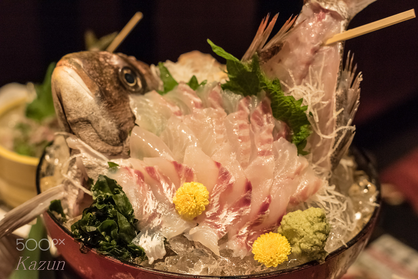 ZEISS Planar T* 50mm F1.4 sample photo. Red snapper's last! photography