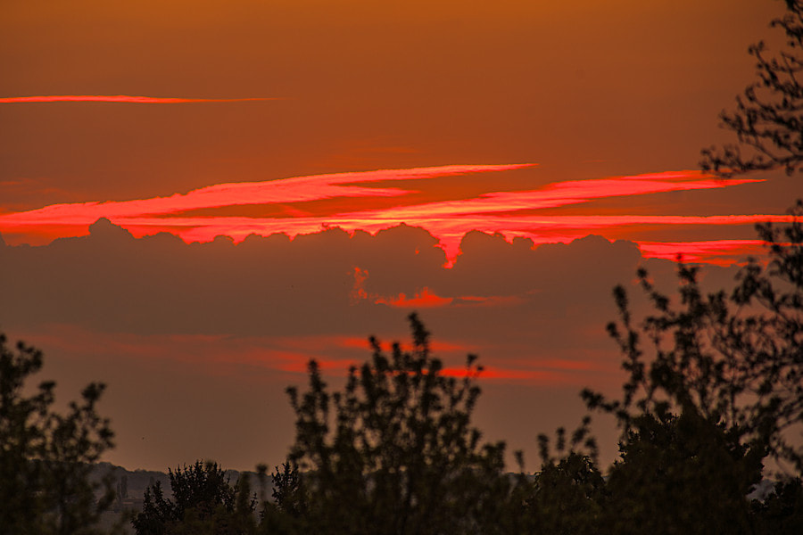 Canon EF 300mm F4L IS USM sample photo. Sonnenuntergang photography