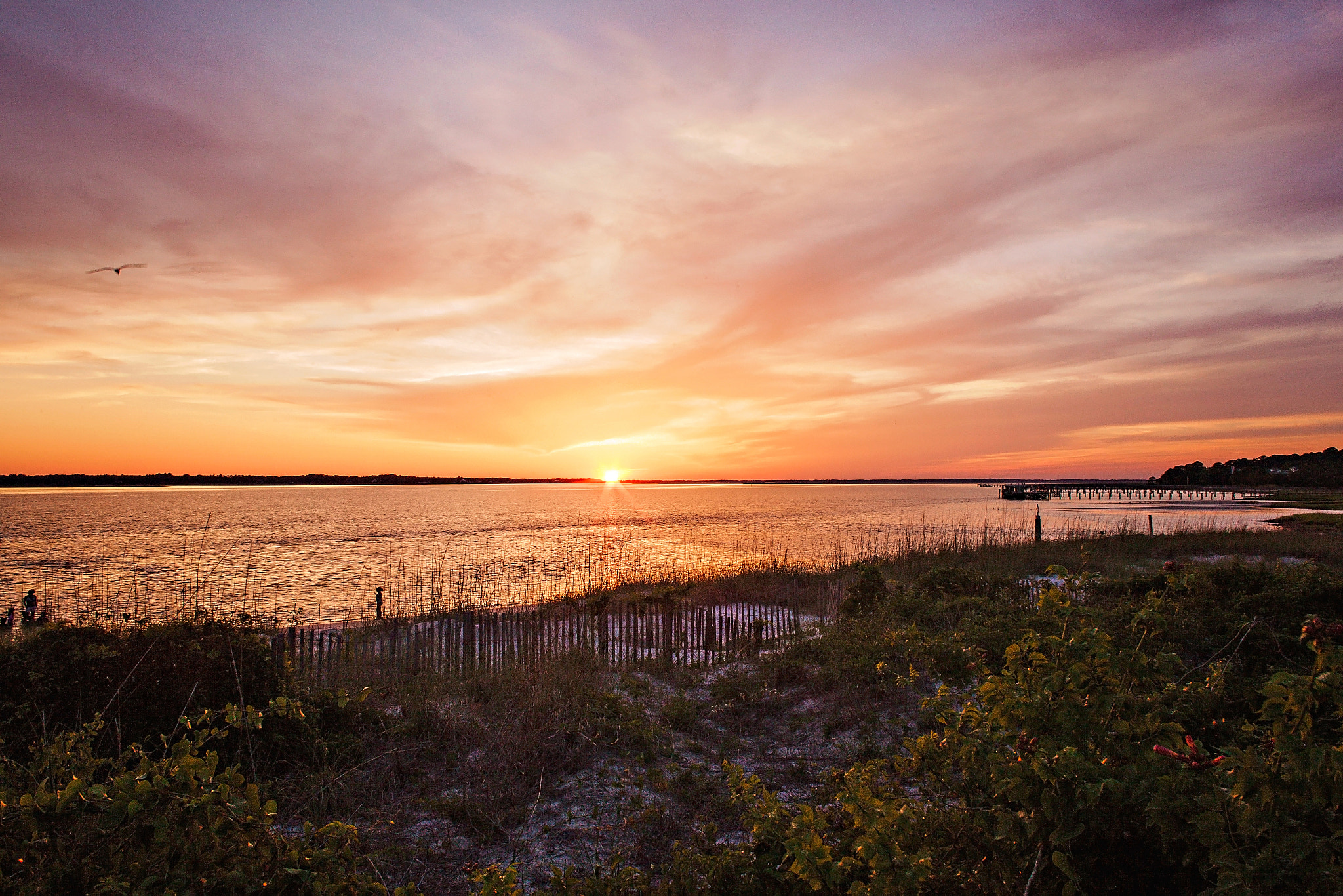 Canon EF 24mm F2.8 sample photo. Creamsicle photography