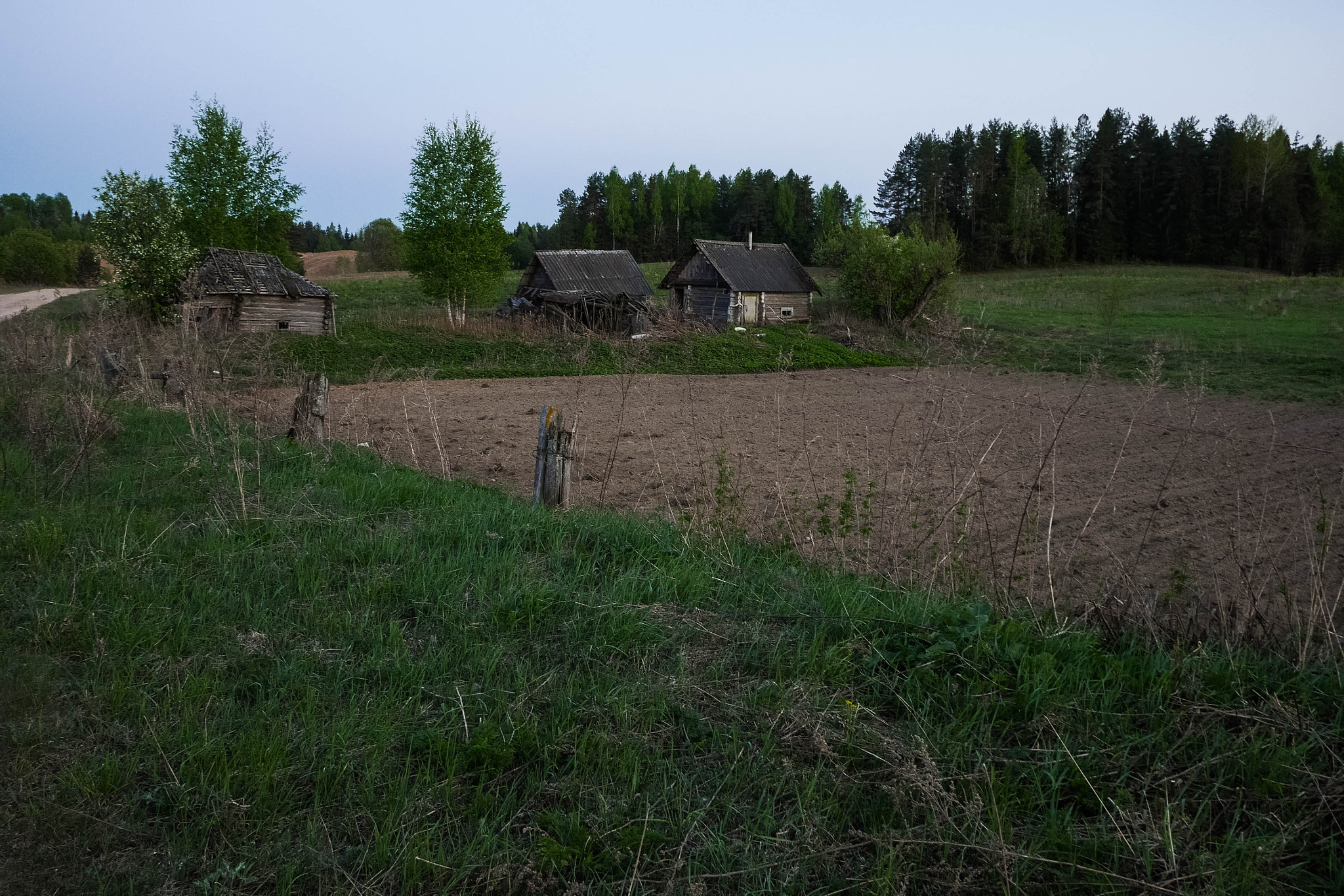 Panasonic Lumix DMC-GX7 + Panasonic Lumix G 14mm F2.5 ASPH sample photo. 26932483412.jpg photography