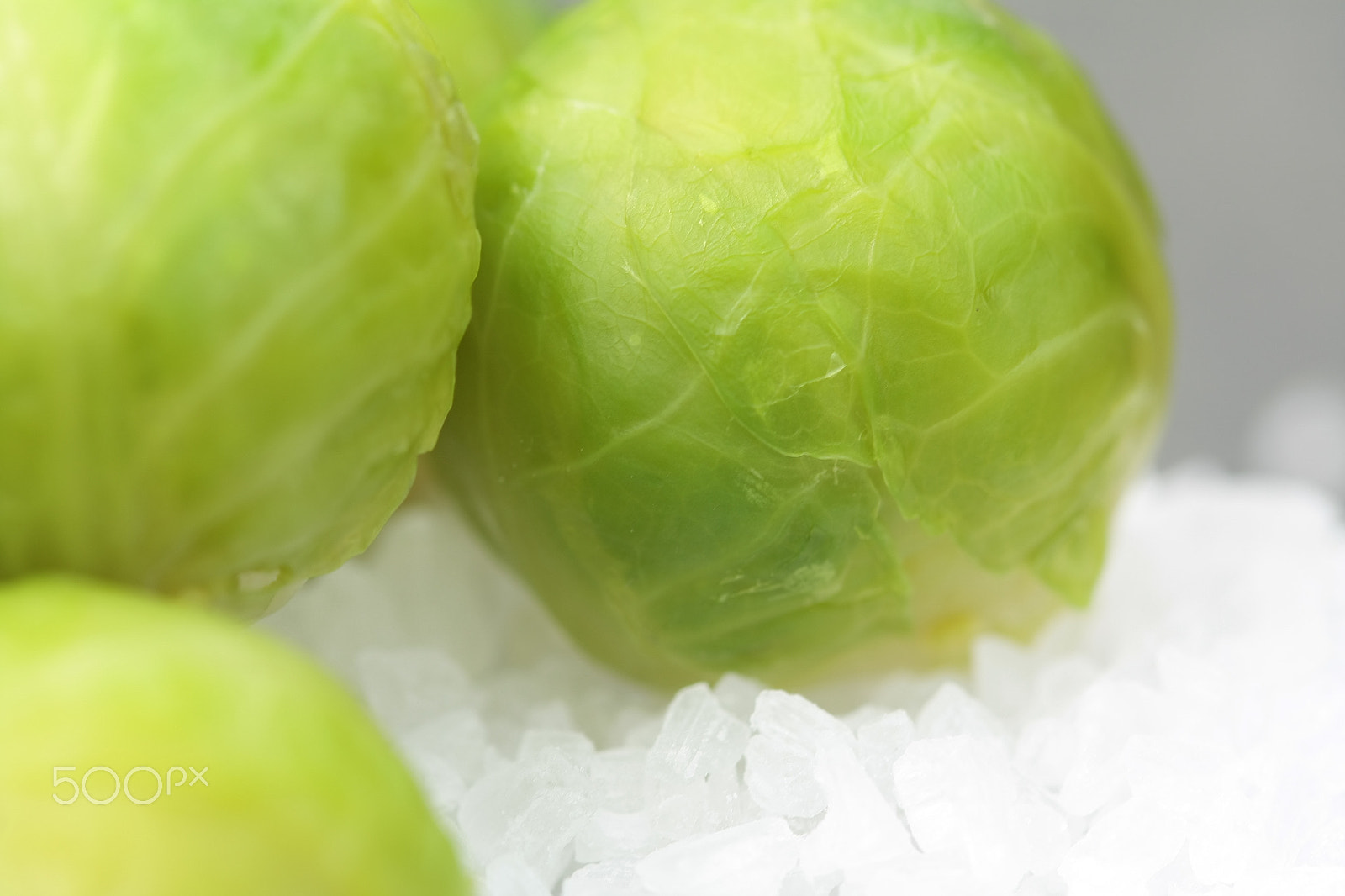 Canon EF 100mm F2.8 Macro USM sample photo. Everything with brussels sprouts photography