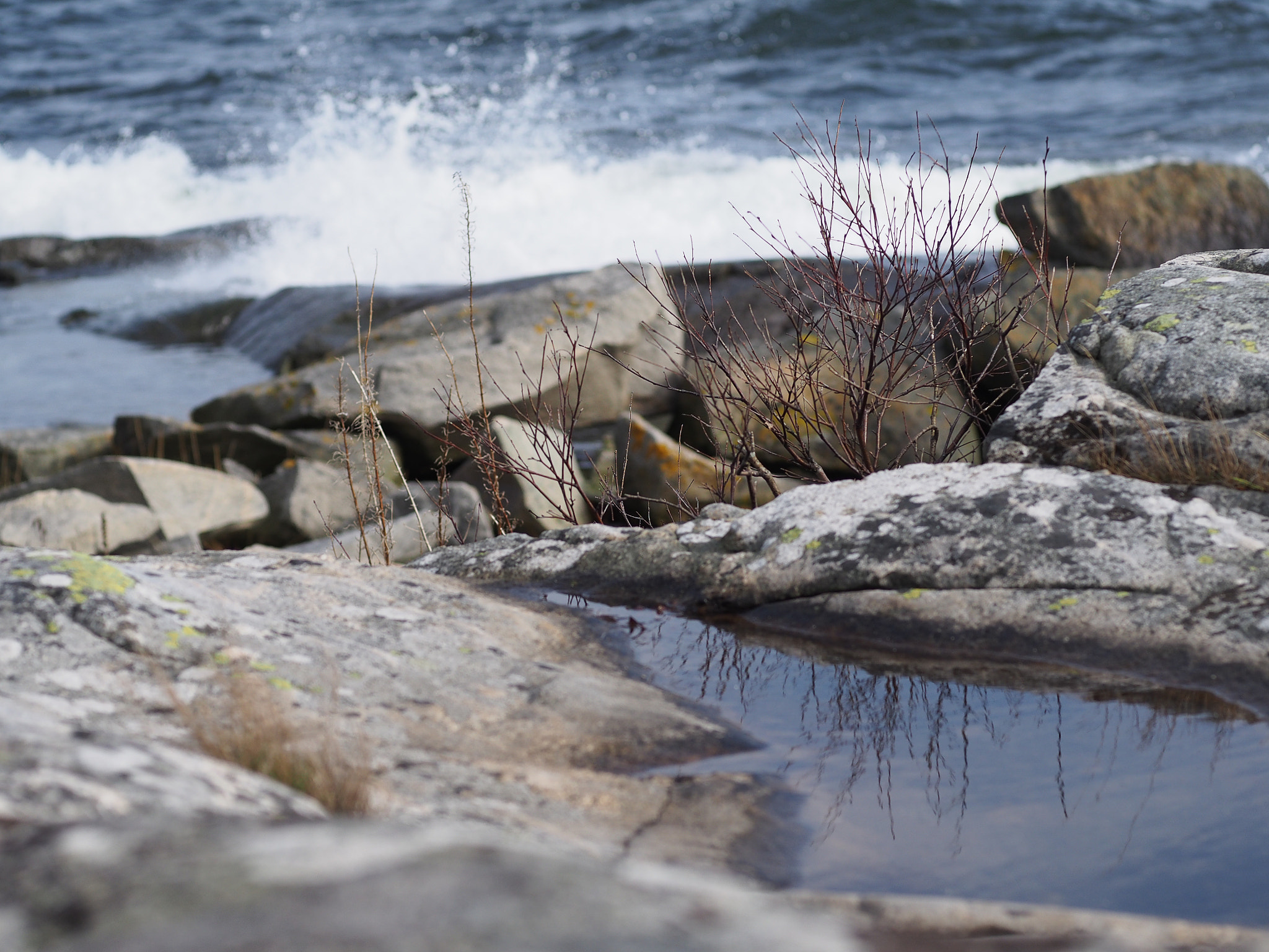 Olympus PEN E-PL5 + Sigma 60mm F2.8 DN Art sample photo. Karlshamn boöm isle photography