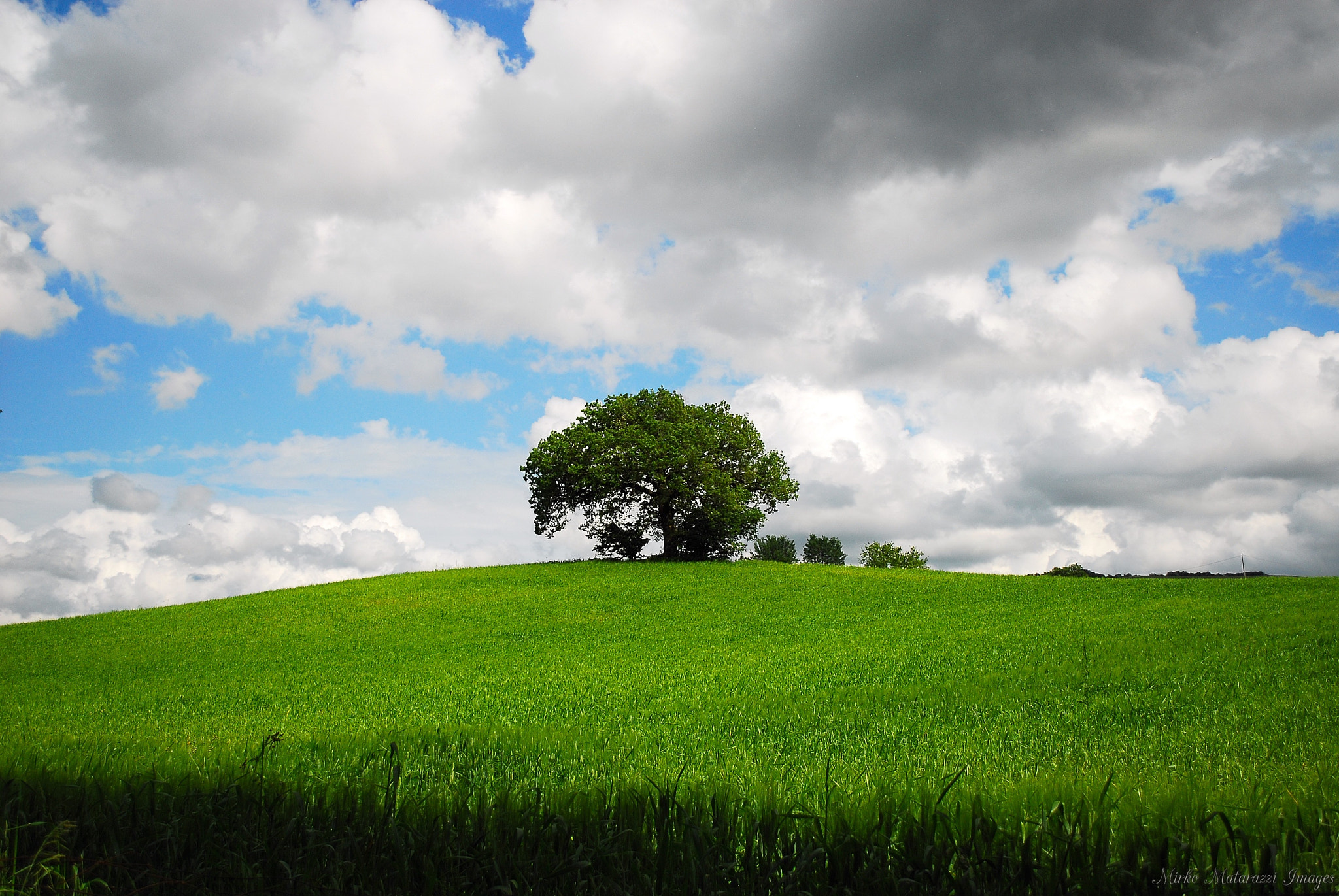 Nikon D200 sample photo. Bliss photography