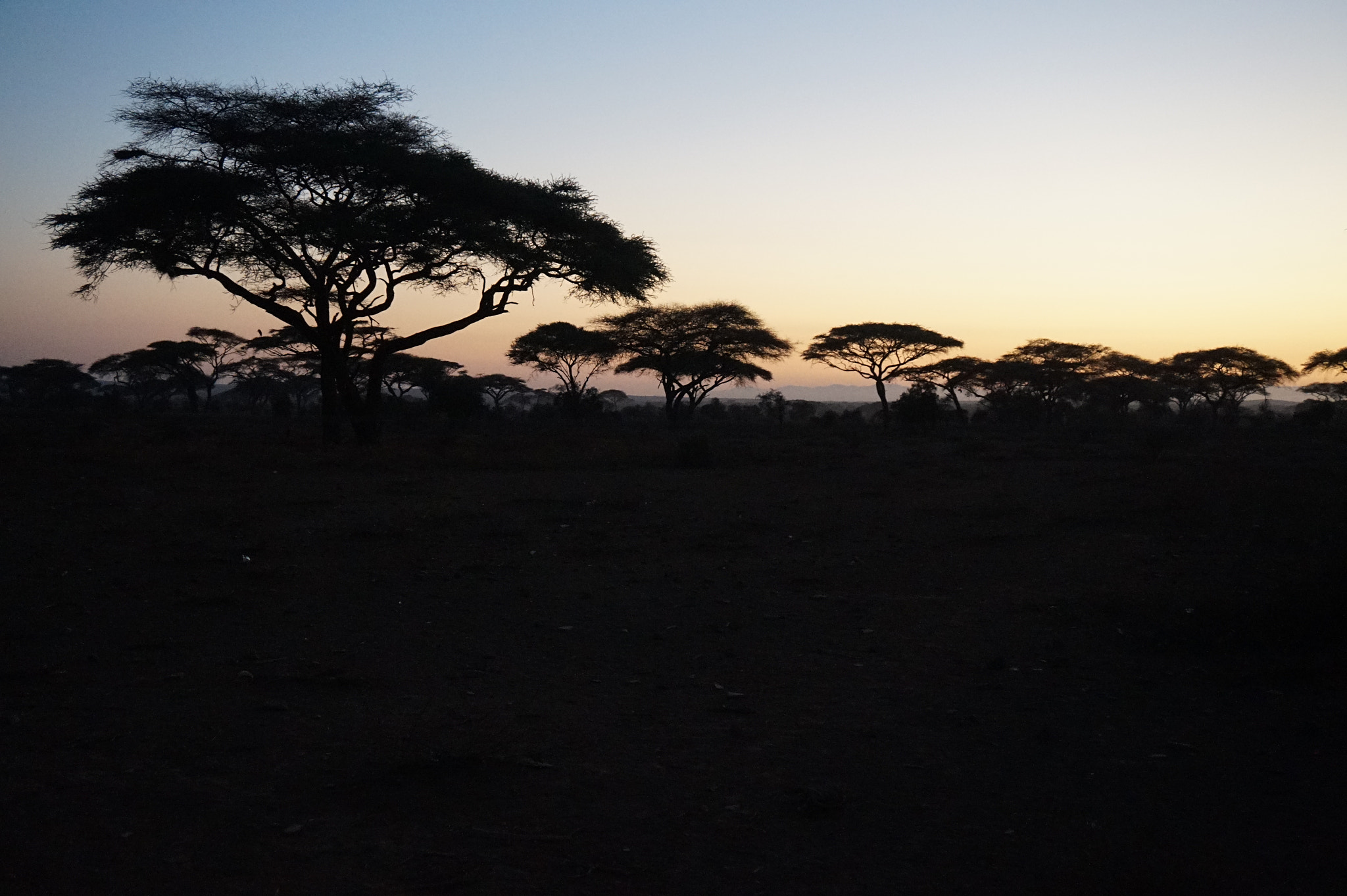 Sony E 16-50mm F3.5-5.6 PZ OSS sample photo. Sunrise, kenya photography