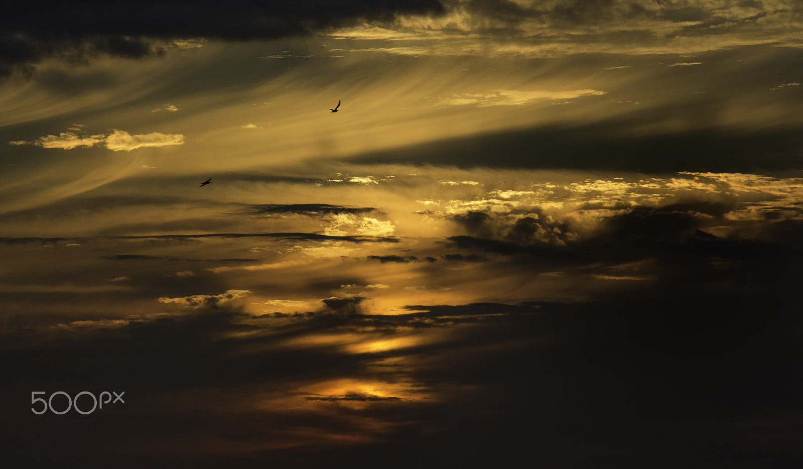 Canon EF-S 18-135mm F3.5-5.6 IS STM sample photo. Flying into the setting sun photography