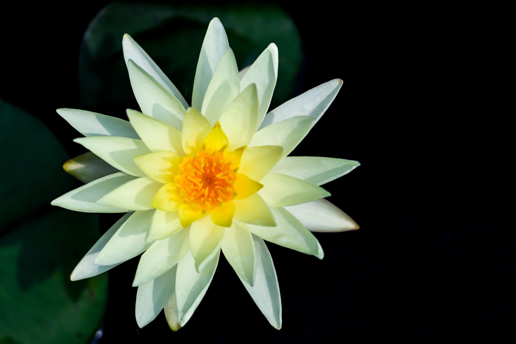 Canon EF 100-400mm F4.5-5.6L IS II USM sample photo. Enjoy photography