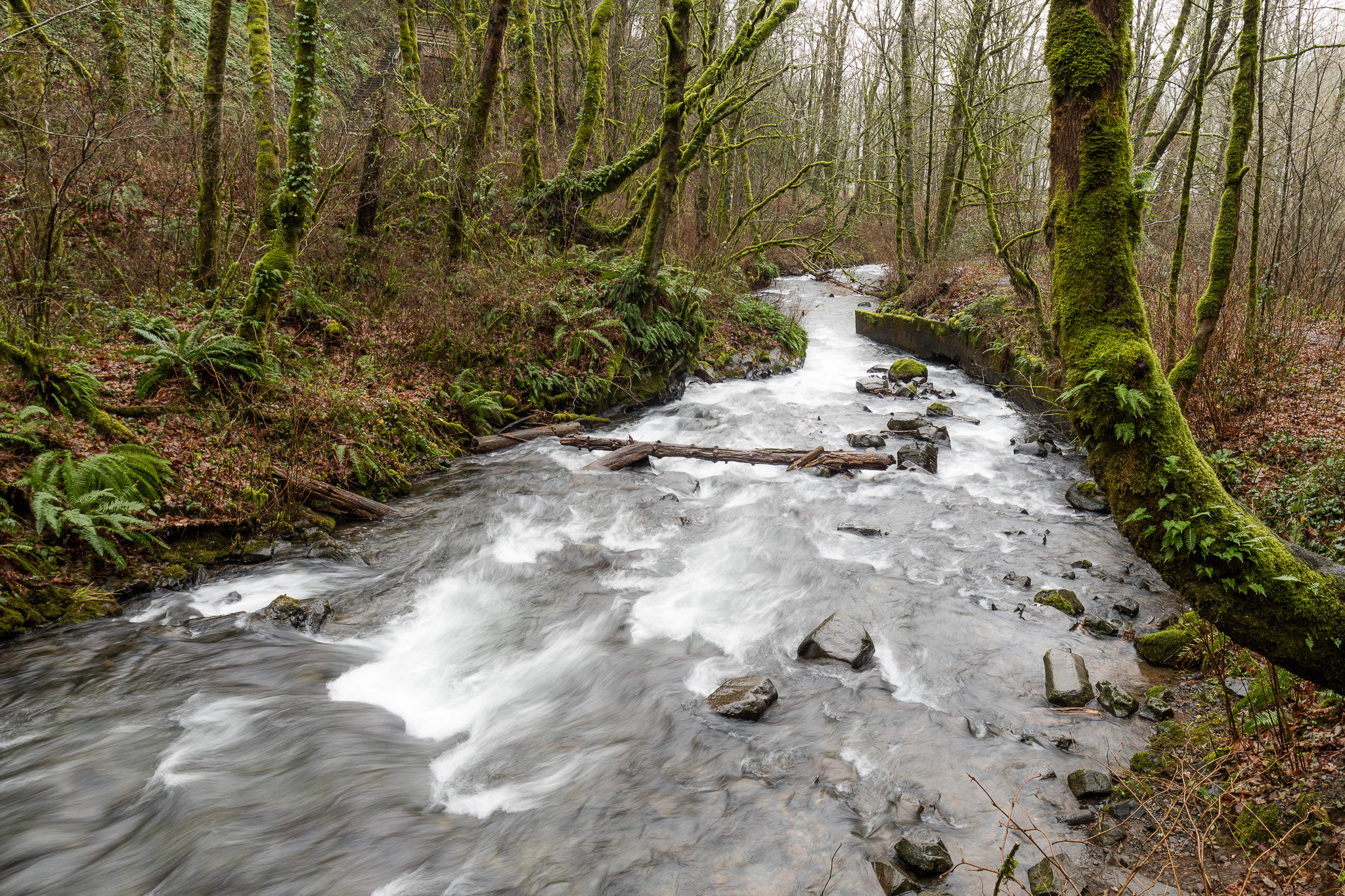 Canon EOS M3 + Canon EF 16-35mm F4L IS USM sample photo. Flowing stream photography