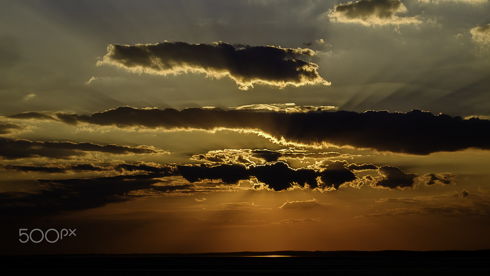 Fujifilm X-M1 + Fujifilm XC 50-230mm F4.5-6.7 OIS sample photo. Shadowsandlight photography