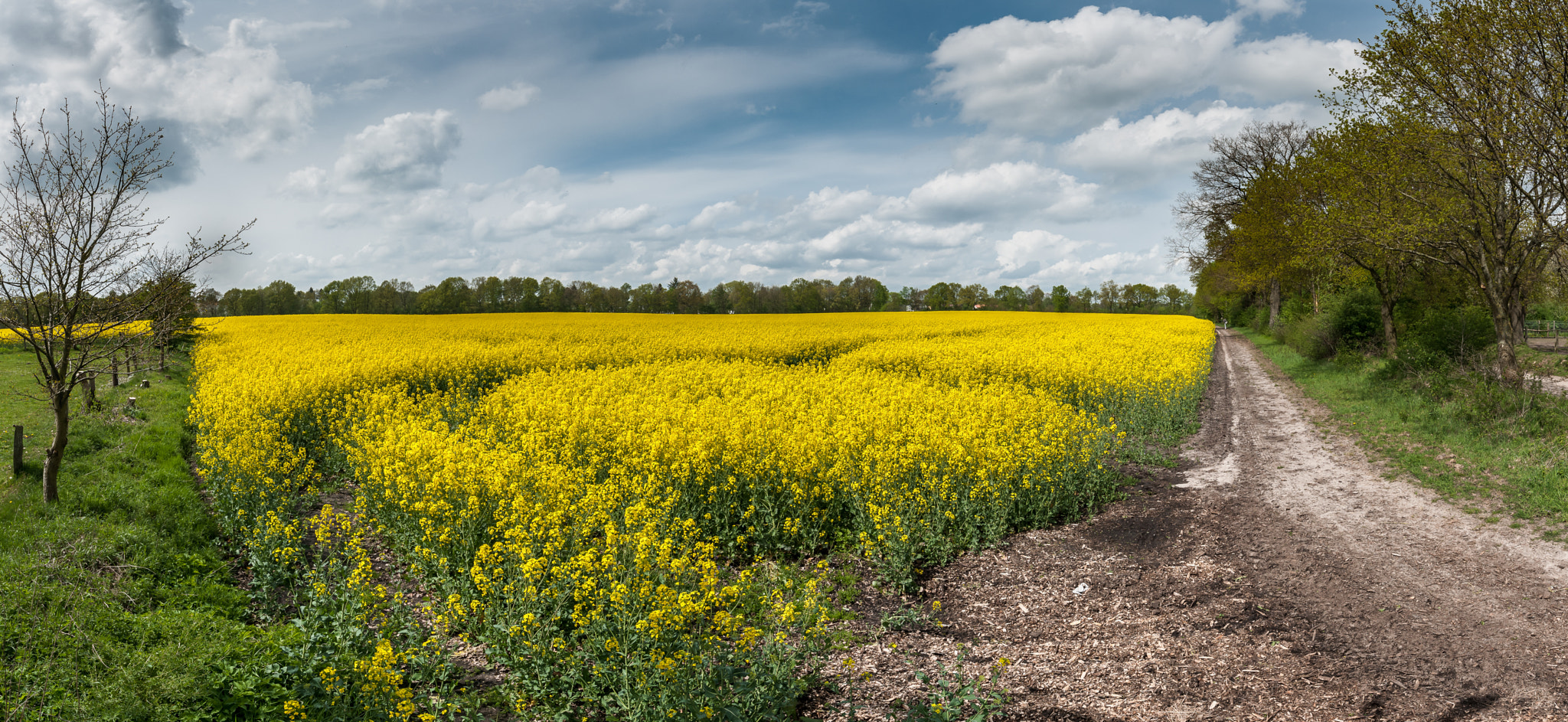 Sigma 8-16mm F4.5-5.6 DC HSM sample photo. Rapsfeld photography