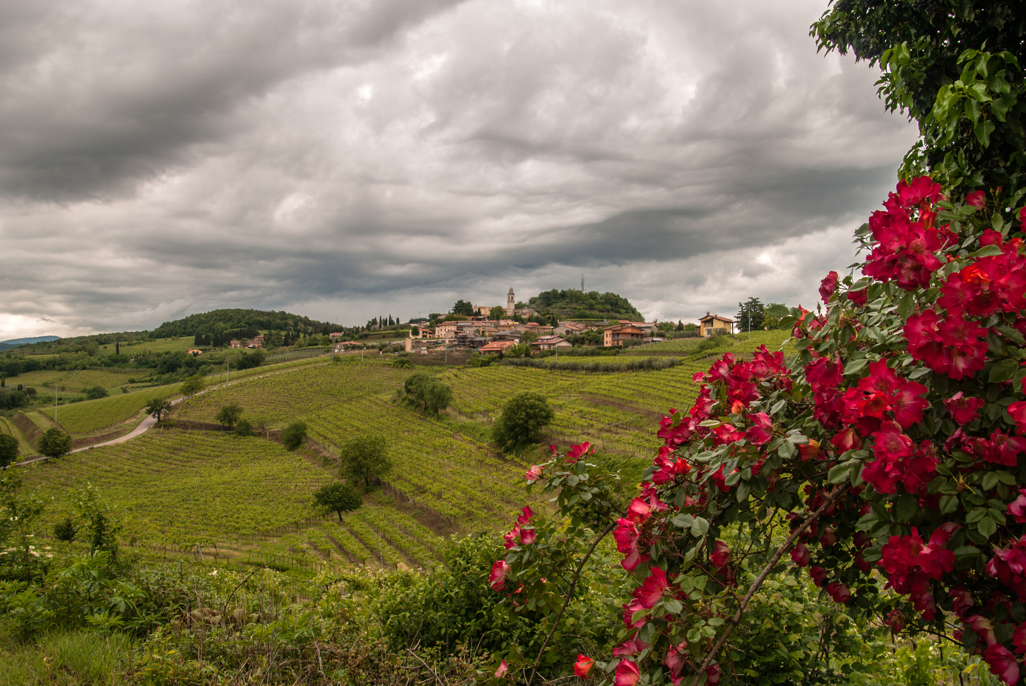 Nikon D3000 sample photo. Castelcerino (vr) italy photography