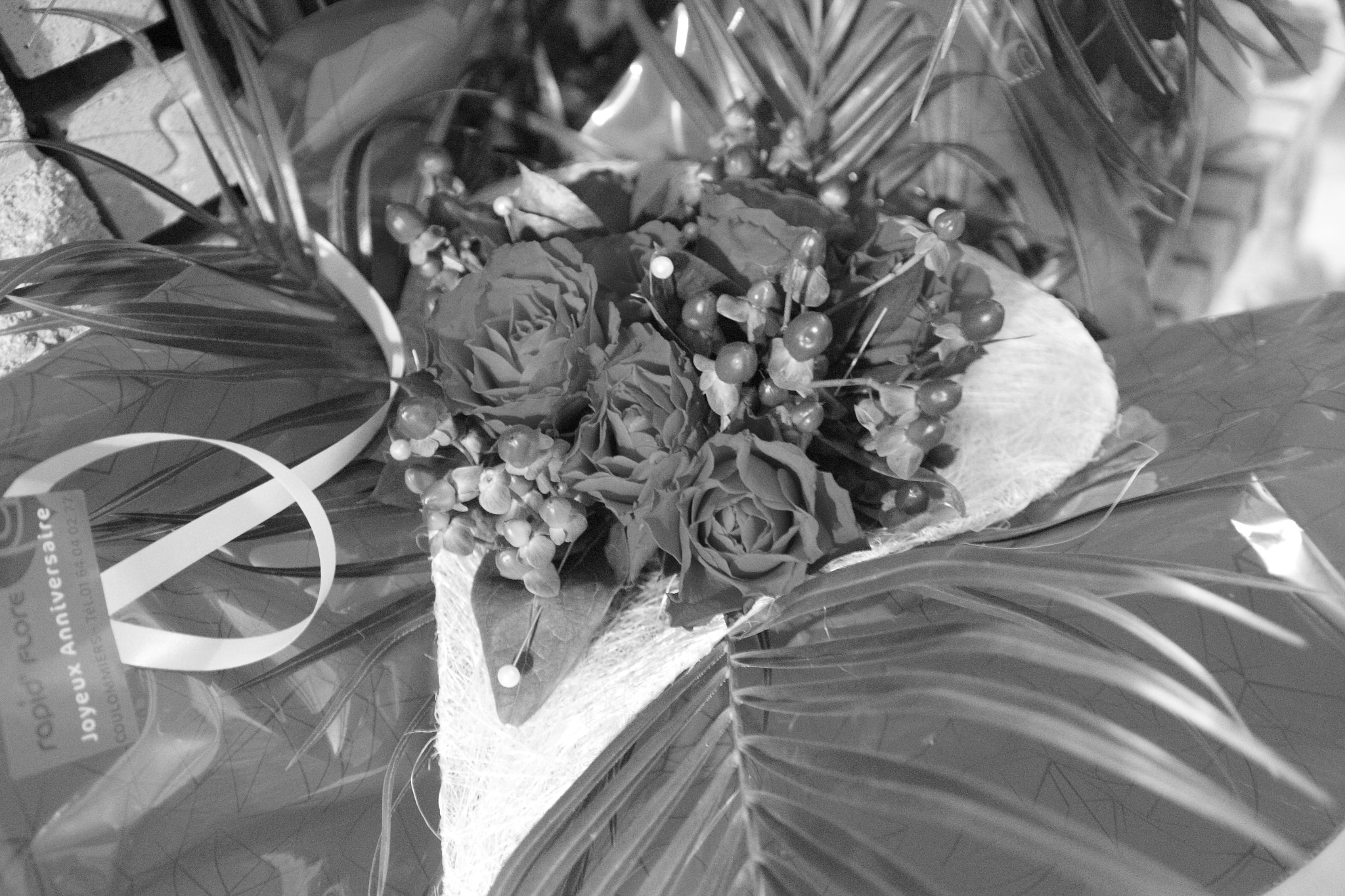 Sigma 17-70mm F2.8-4 DC Macro OS HSM sample photo. Img_3589.jpg photography