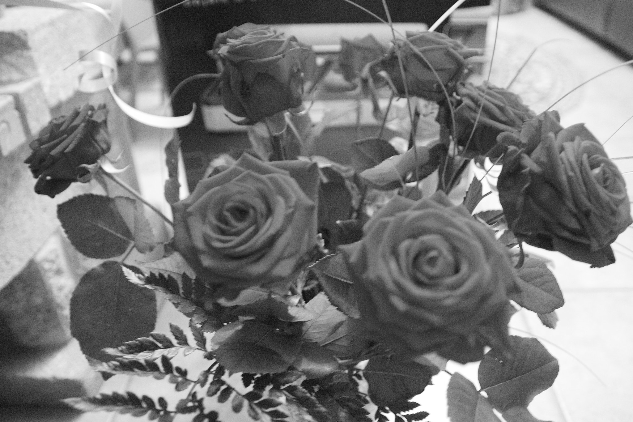 Sigma 17-70mm F2.8-4 DC Macro OS HSM sample photo. Img_3590.jpg photography