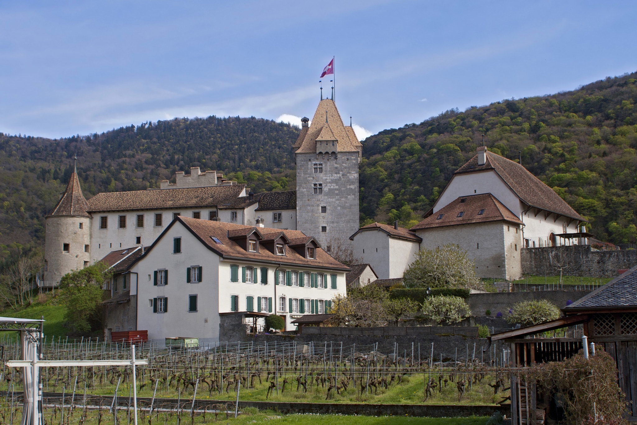 Canon EF 20-35mm F3.5-4.5 USM sample photo. Château d'aigle (aigle) photography