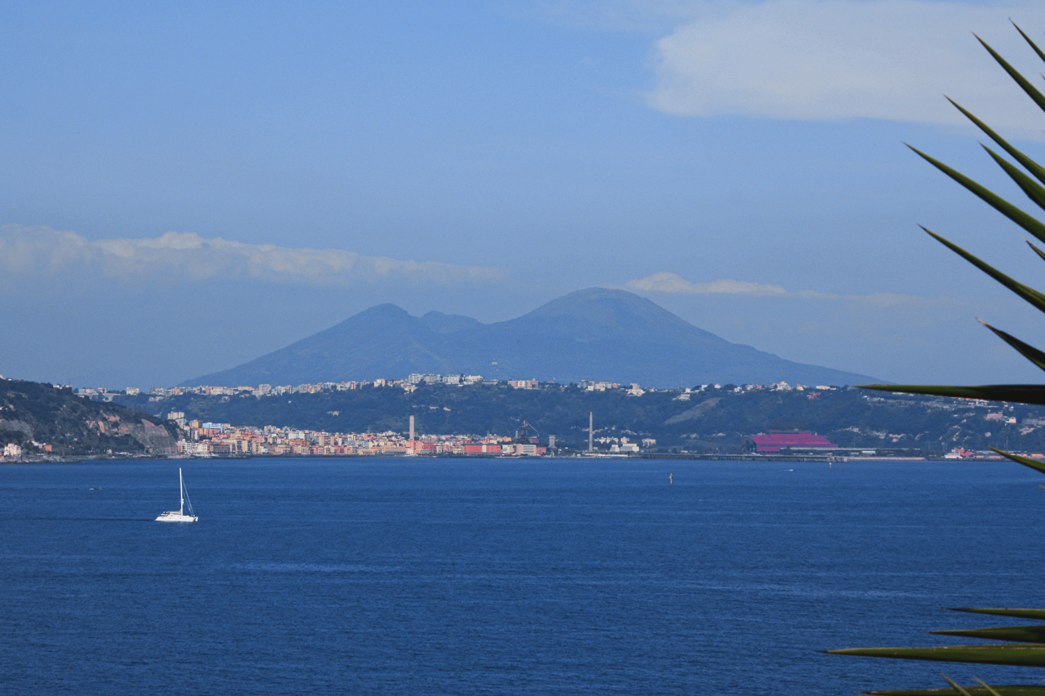 Sigma 70-300mm F4-5.6 APO DG Macro sample photo