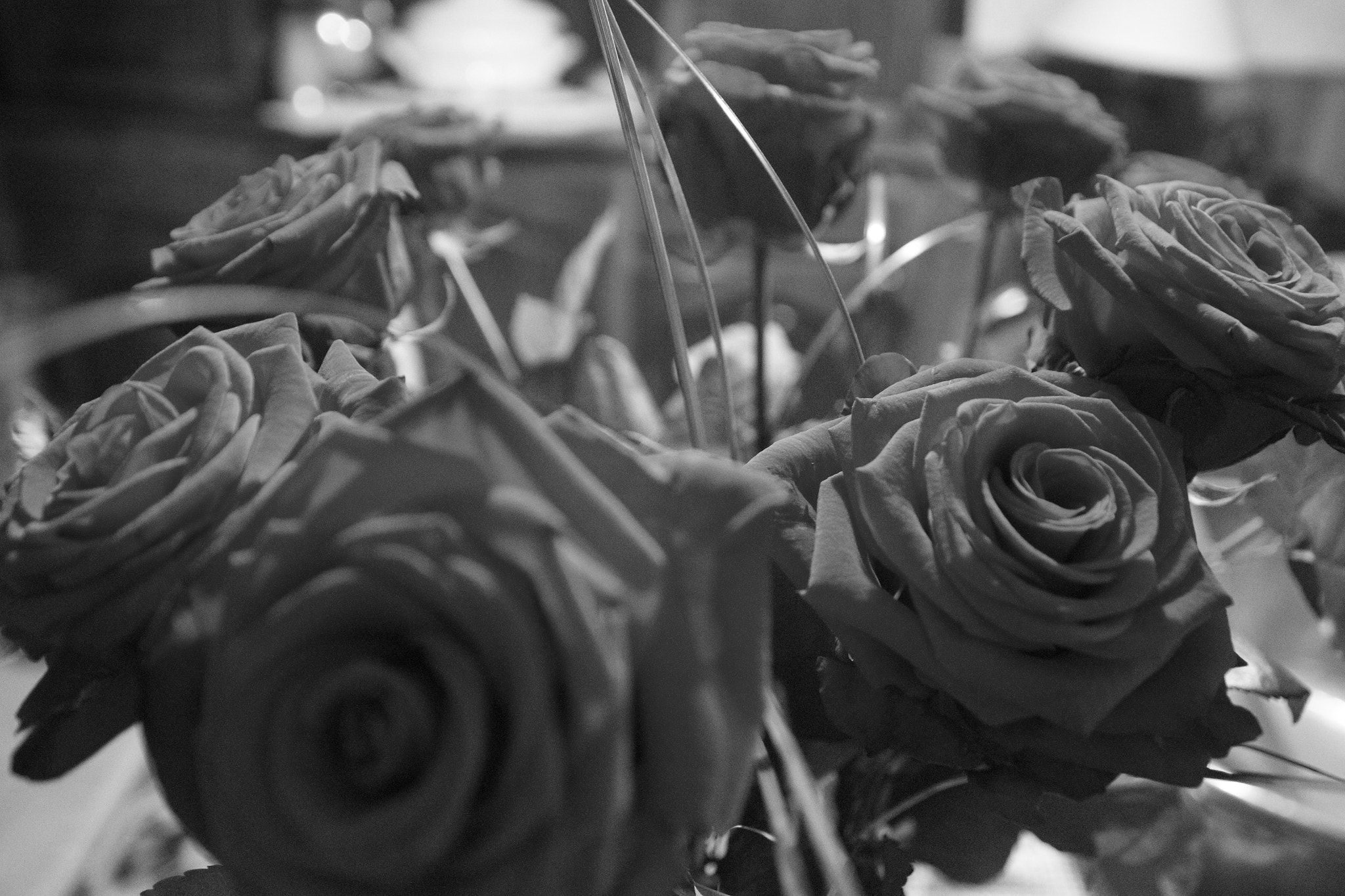 Sigma 17-70mm F2.8-4 DC Macro OS HSM sample photo. Img_3597.jpg photography