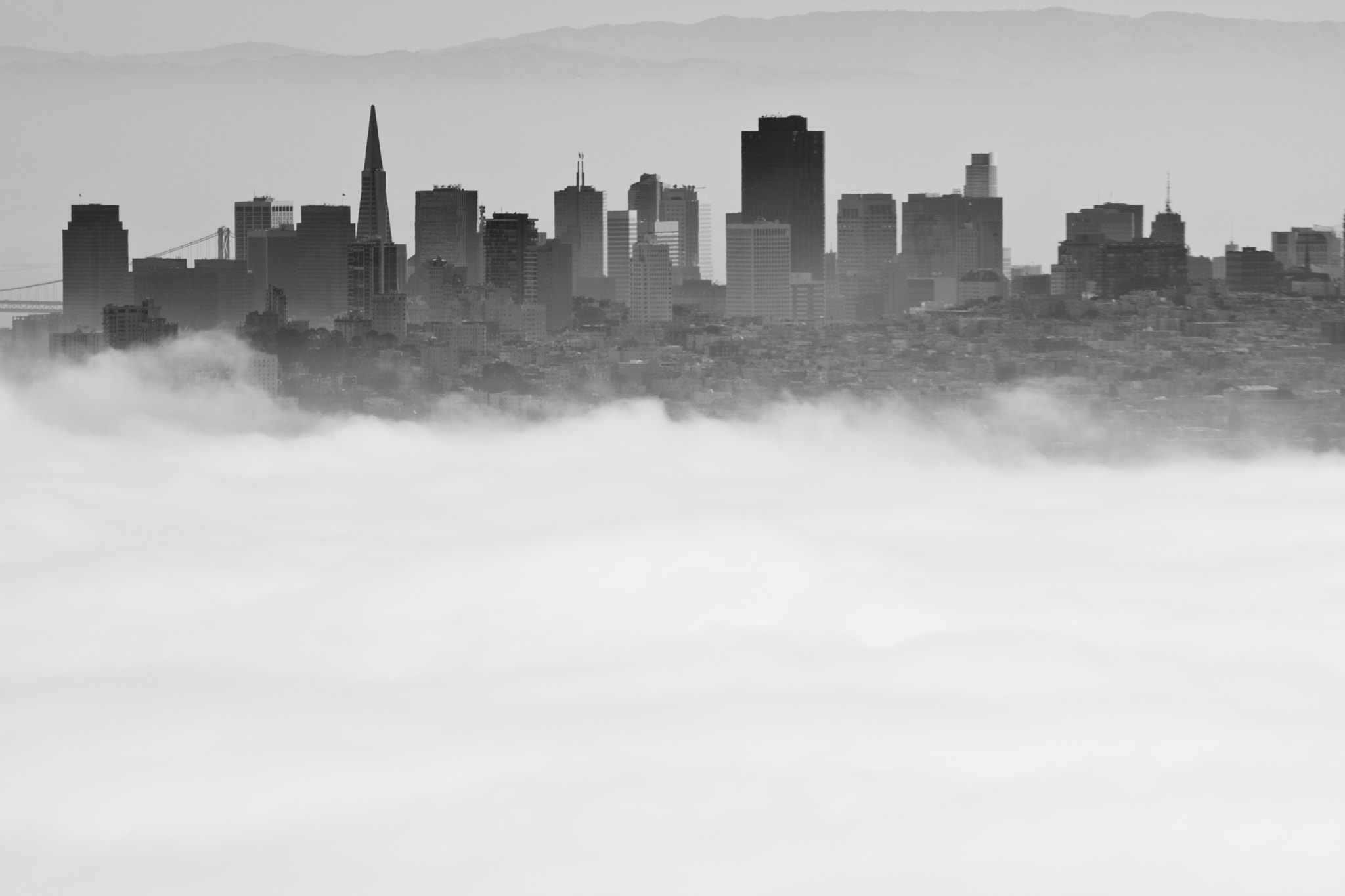 Canon EF 300mm F4L IS USM sample photo. San francisco 2 photography