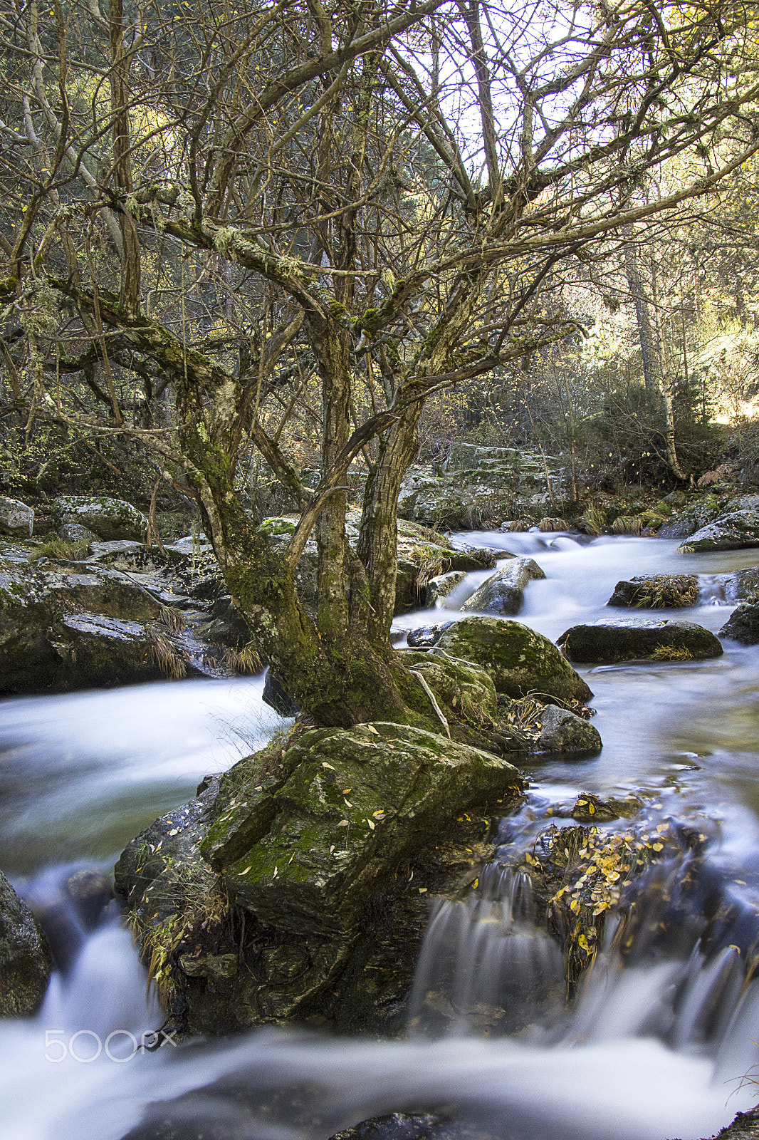 Canon EF-S 18-135mm F3.5-5.6 IS STM sample photo. Rio lozoya photography