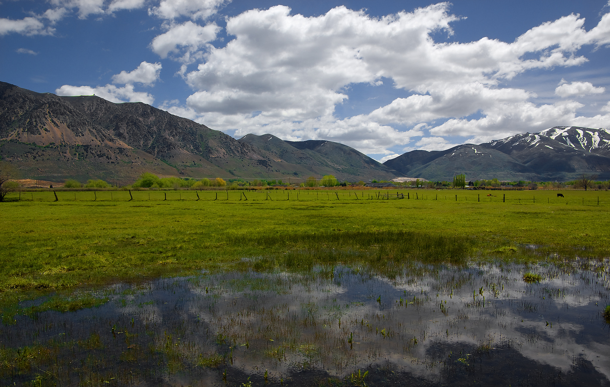 Pentax K10D + Pentax smc DA 16-45mm F4 ED AL sample photo. Spring in the wasatch photography