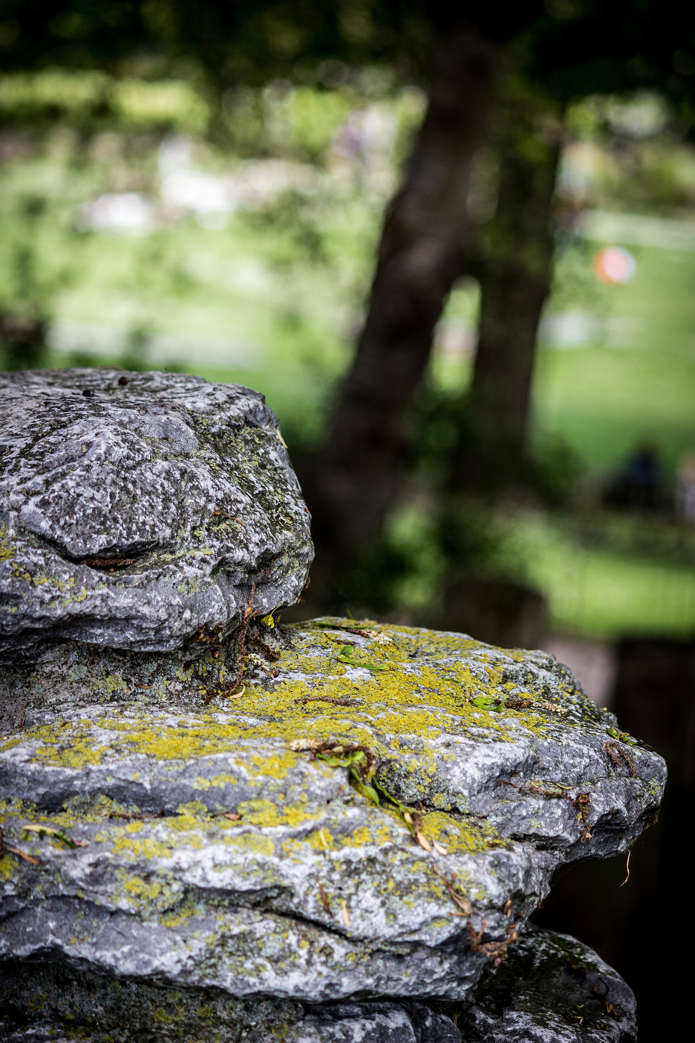 Canon EF-S 55-250mm F4-5.6 IS sample photo. Rocky focus photography
