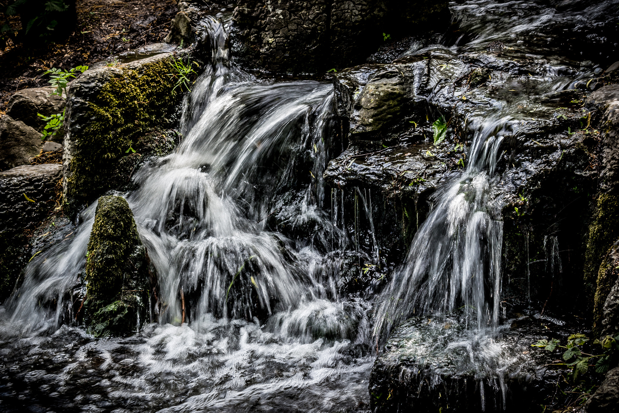 Canon EF-S 55-250mm F4-5.6 IS sample photo. The rush photography
