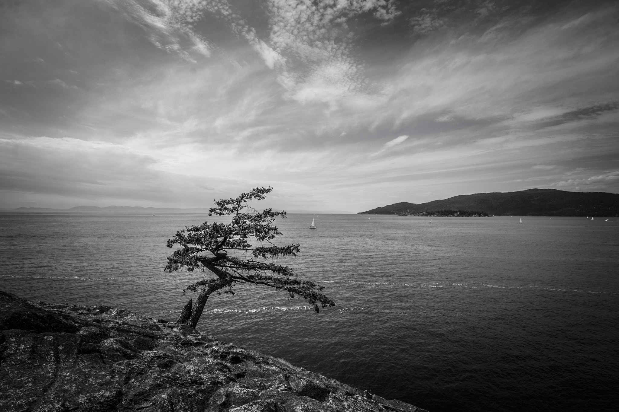 Canon EF-S 10-18mm F4.5–5.6 IS STM sample photo. Alone photography