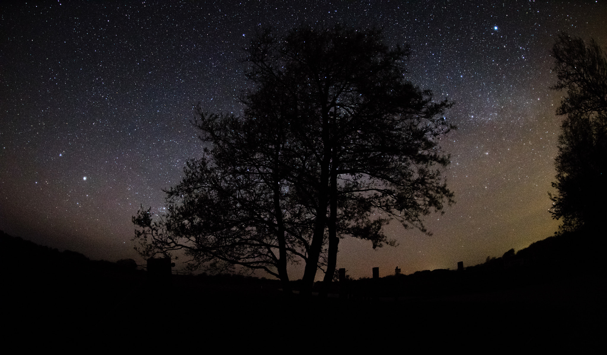 Nikon AF DX Fisheye-Nikkor 10.5mm F2.8G ED sample photo. Inferno photography