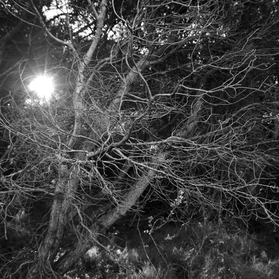 Pentax smc DA* 16-50mm F2.8 ED AL (IF) SDM sample photo. Hvar photography