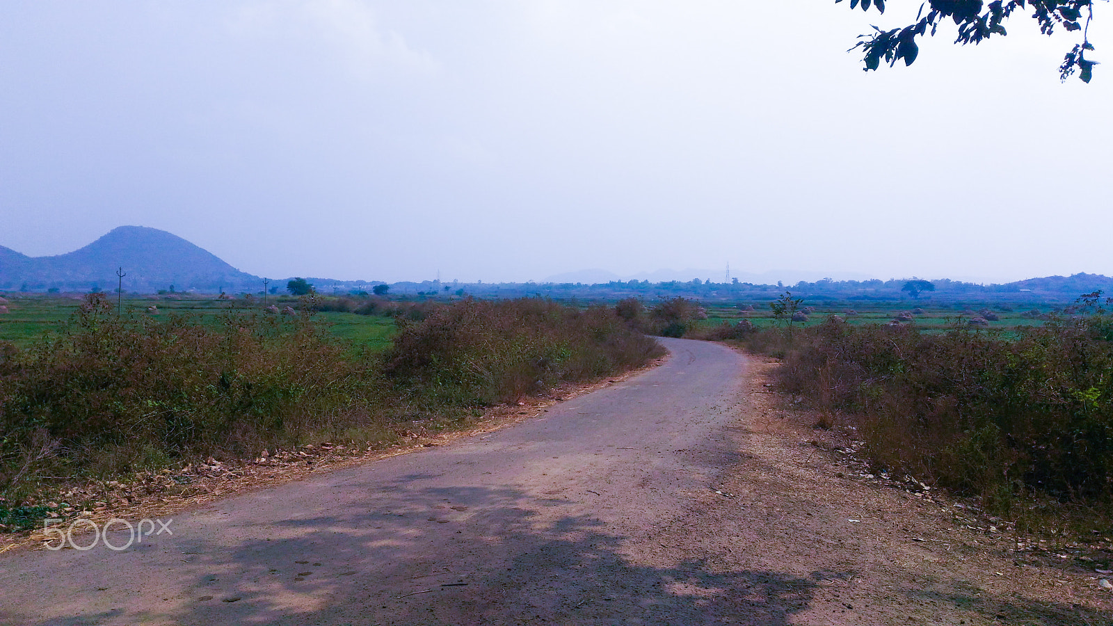 ASUS ZenFone 2 Laser (ZE550KL) sample photo. Summer morning in an indian village photography