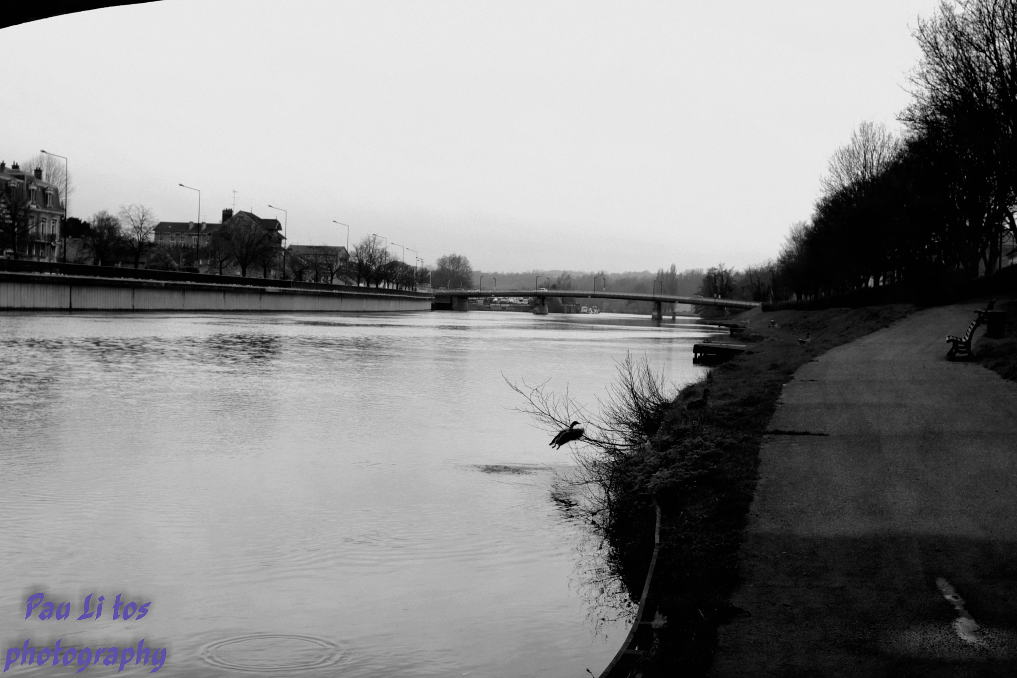 Canon EOS 700D (EOS Rebel T5i / EOS Kiss X7i) + Canon EF 28mm F2.8 sample photo. Bords de marne à meaux photography