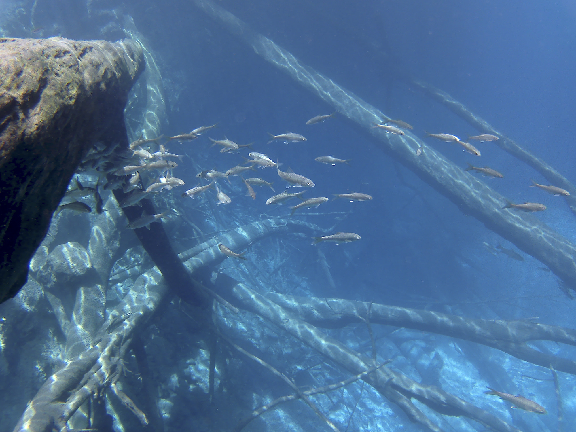 HDKing Q3H sample photo. Underwater lake kaco photography