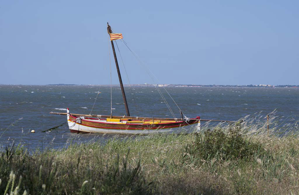 Pentax smc DA 55-300mm F4.0-5.8 ED sample photo. Barque catalane photography