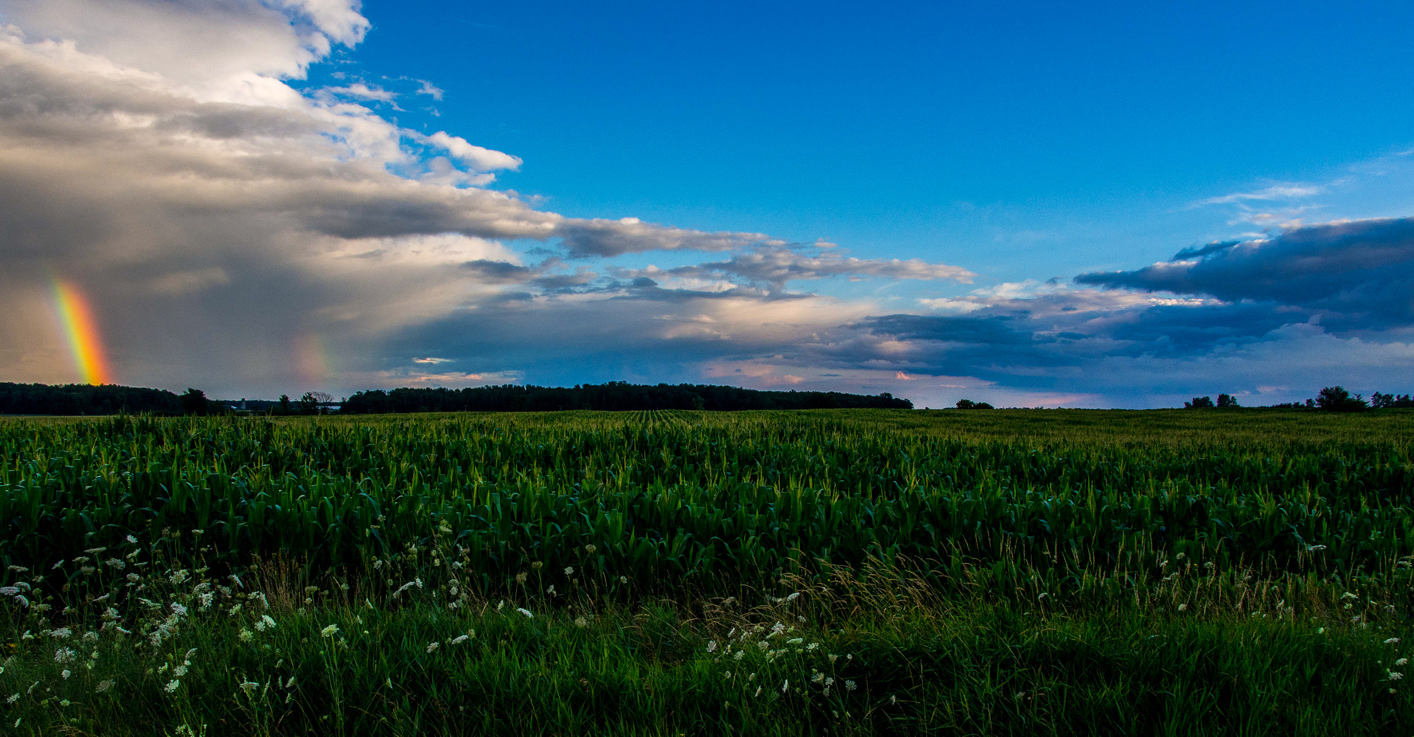Panasonic Lumix G X Vario 12-35mm F2.8 ASPH Power OIS sample photo. Rainbow in the field photography