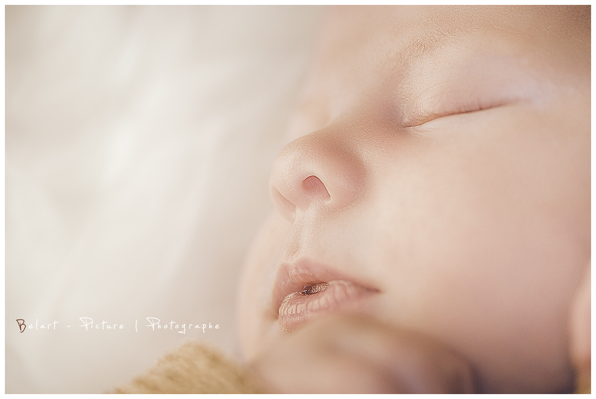 Sigma 105mm F2.8 EX DG OS HSM sample photo. [at-home] {louise} photography