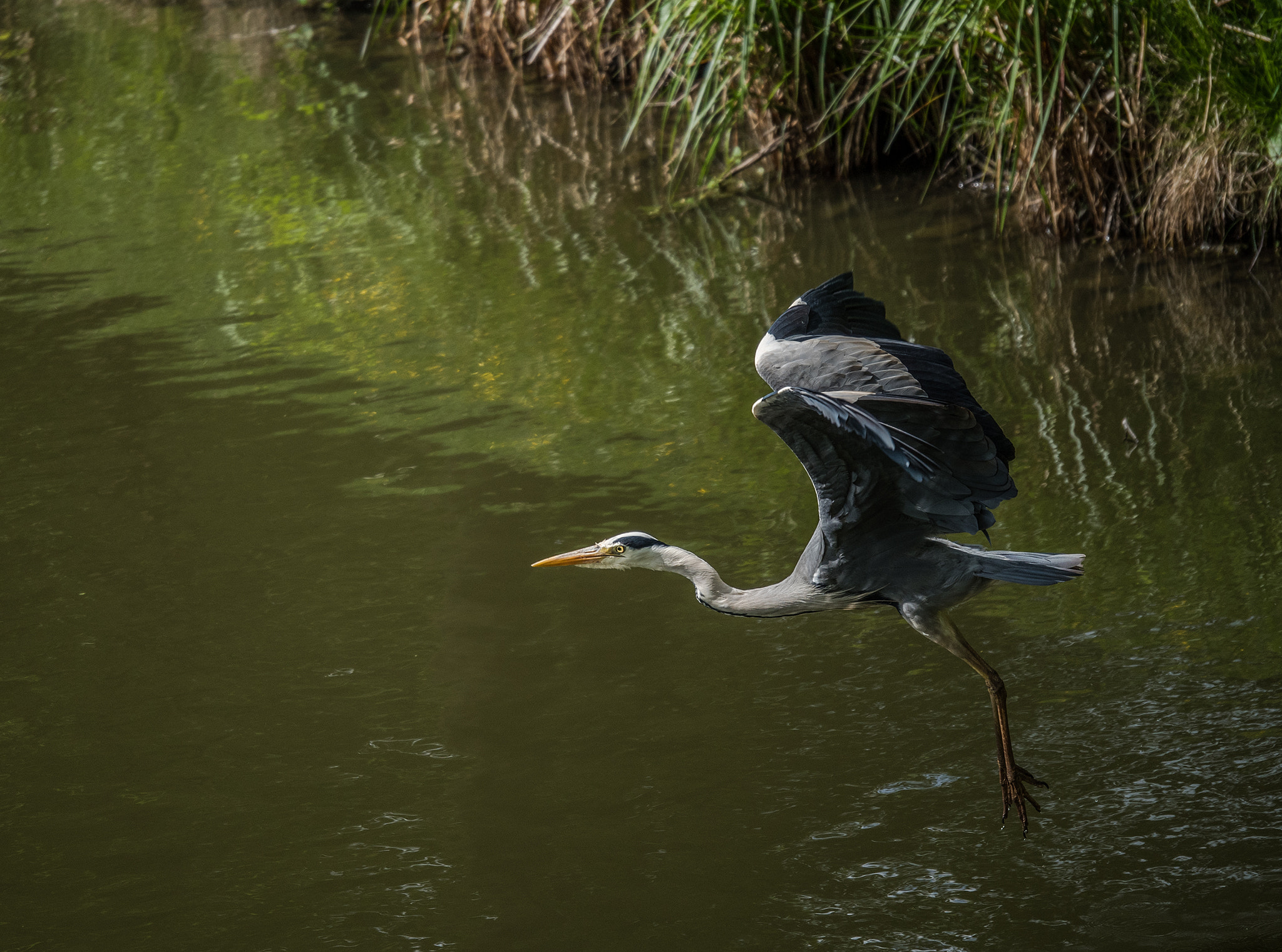 Panasonic Lumix G X Vario 35-100mm F2.8 OIS sample photo. Abflug.... photography