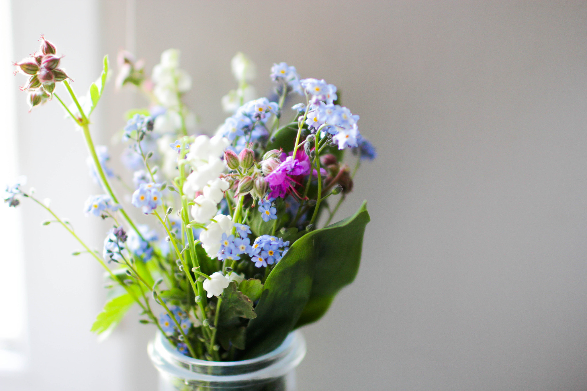 Canon EOS 60D + Canon EF 35mm F1.4L USM sample photo. Les jolie fleurs du jardin photography