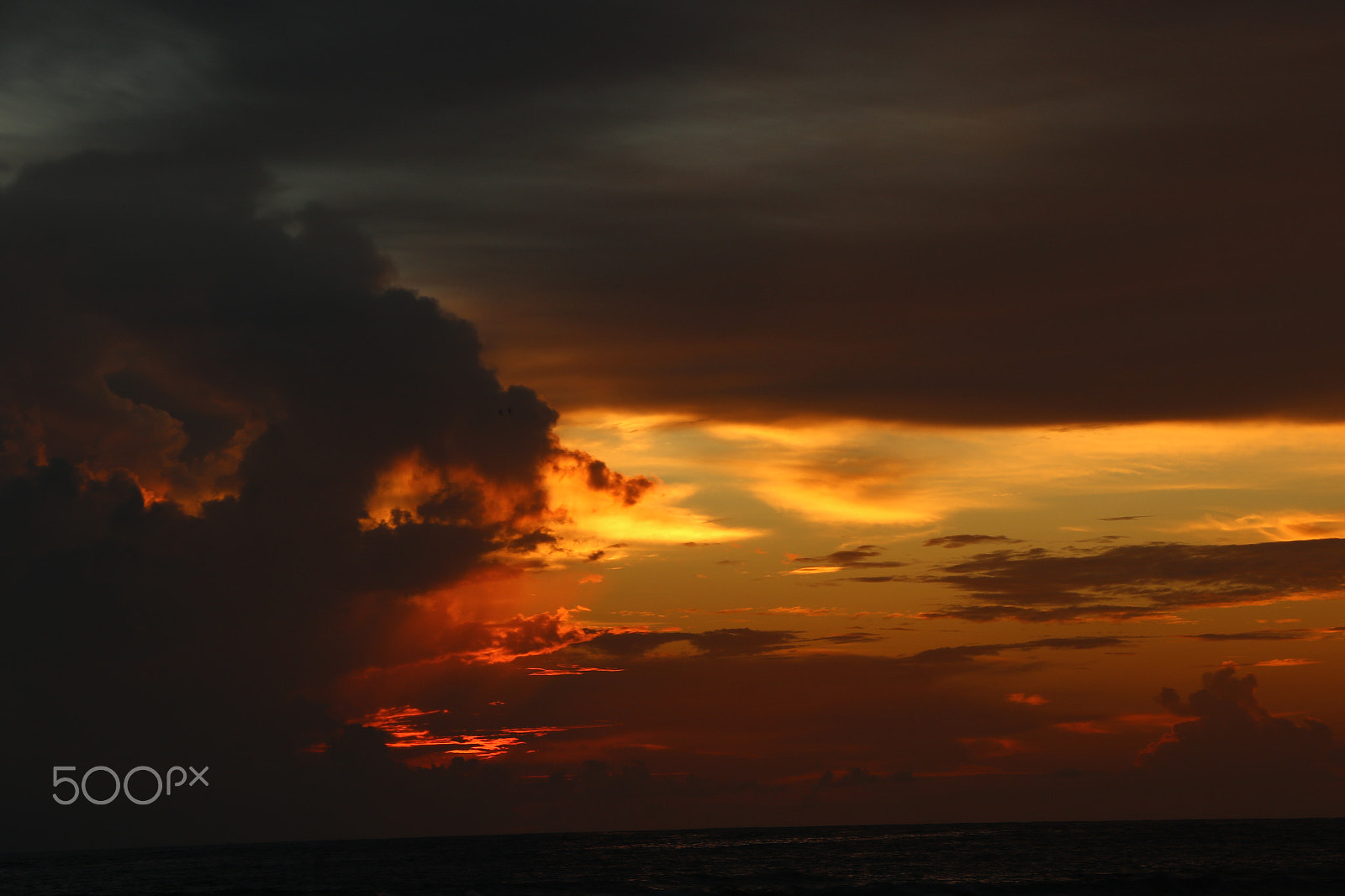 Canon EF-S 18-135mm F3.5-5.6 IS STM sample photo. C66a1925.jpg photography