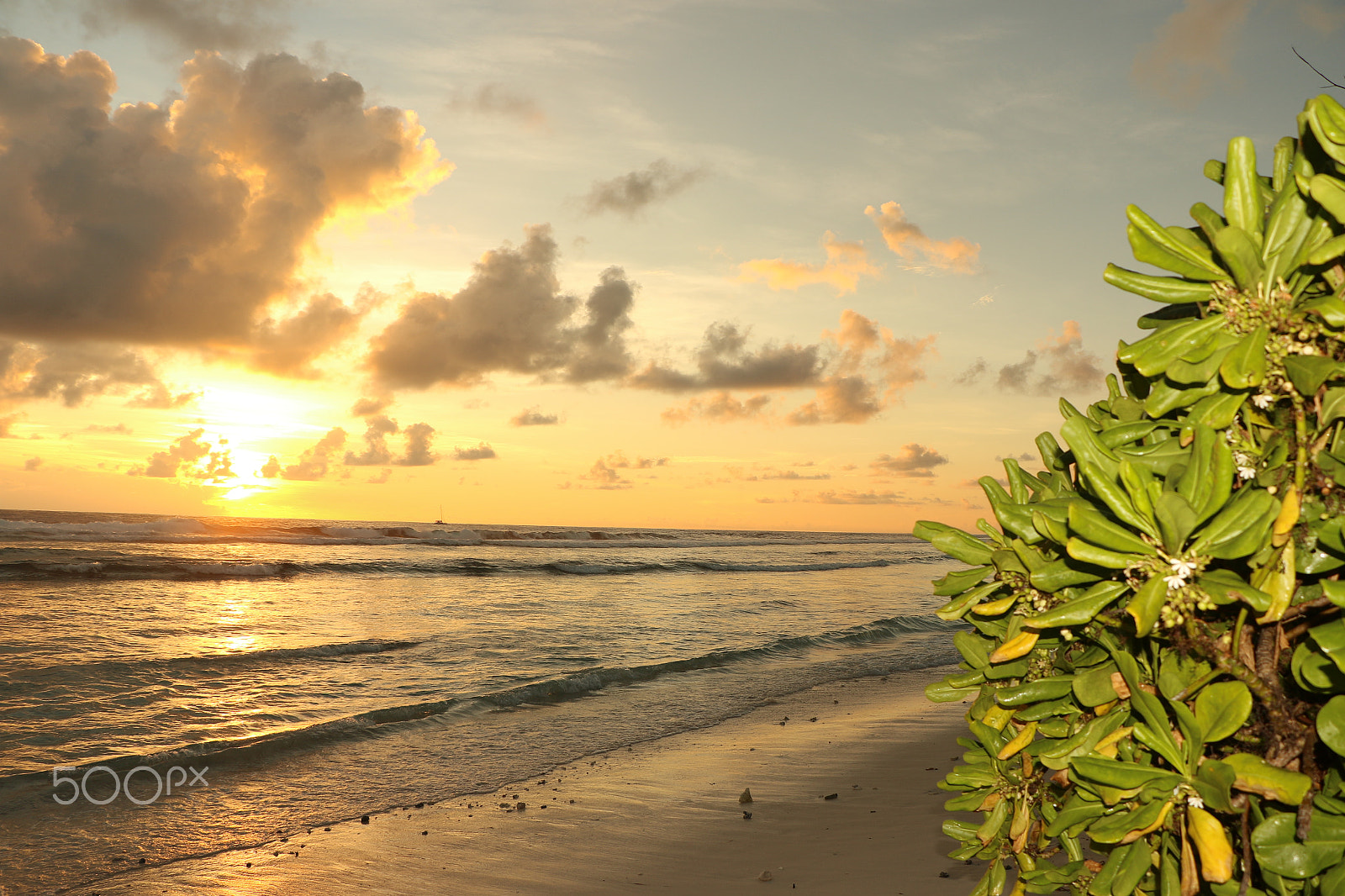 Canon EOS 7D Mark II + Canon EF-S 18-135mm F3.5-5.6 IS STM sample photo. Beach view photography