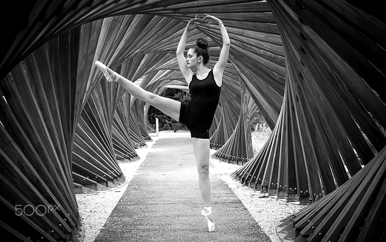 Sigma 24-70mm F2.8 EX DG HSM sample photo. Ava nina photography