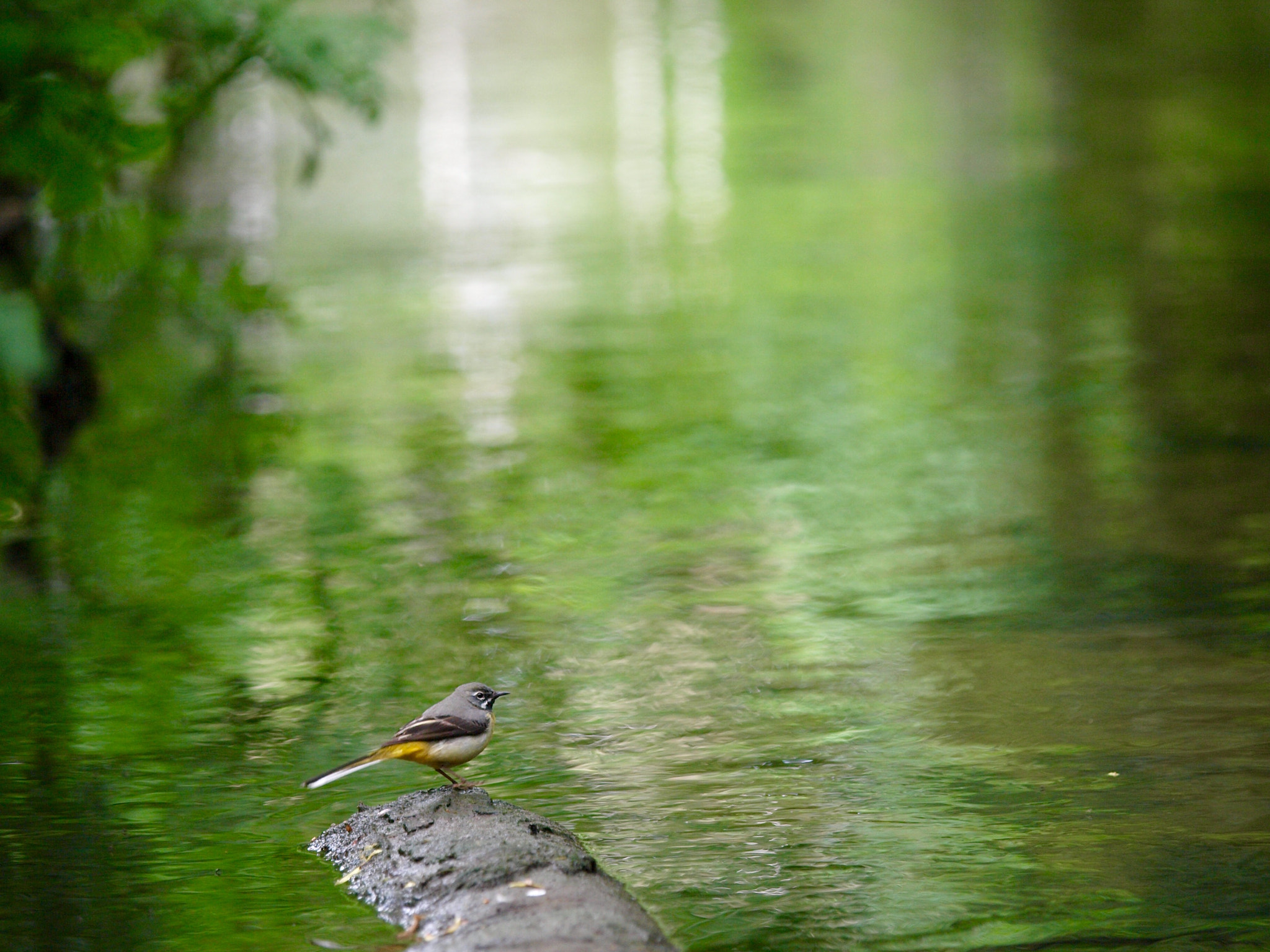 Olympus E-3 sample photo. Afternoon gaze photography