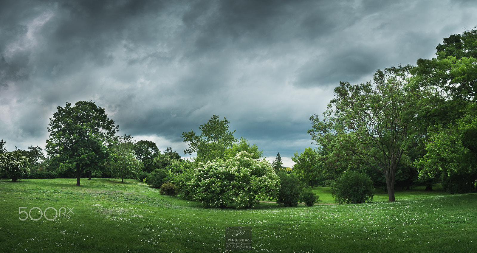Pentax smc DA 16-45mm F4 ED AL sample photo. Wavy nature photography