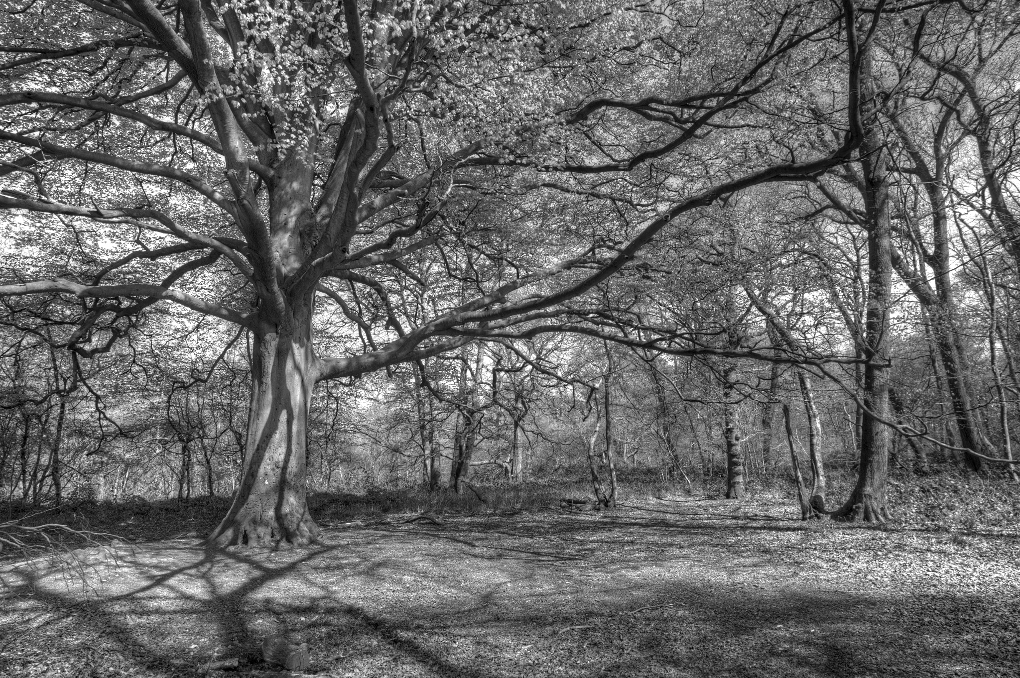 Canon EOS-1D Mark IV sample photo. Sprawl photography
