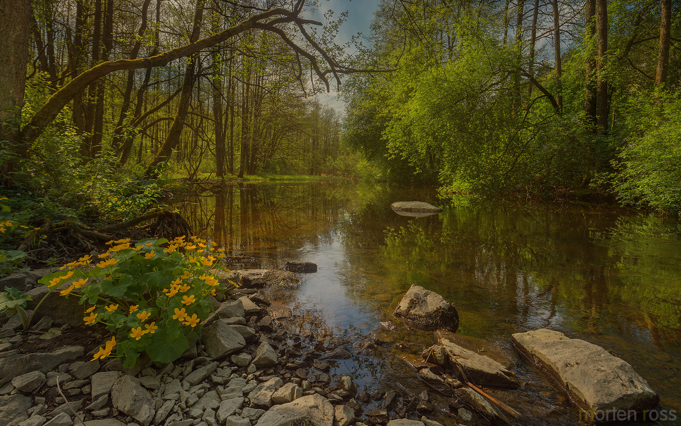 Nikon D4S sample photo. Juicy hues of spring photography