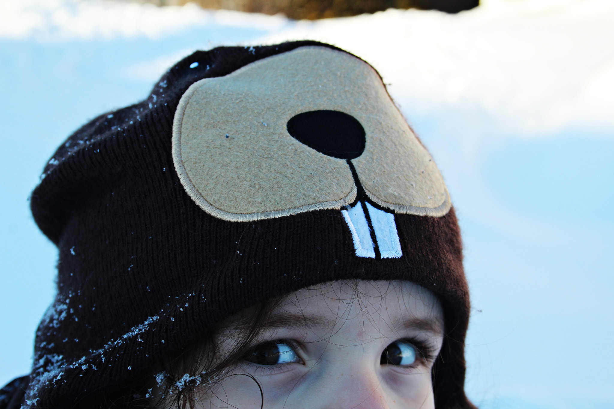 Canon EF-S 18-55mm F3.5-5.6 sample photo. The beaver hat photography