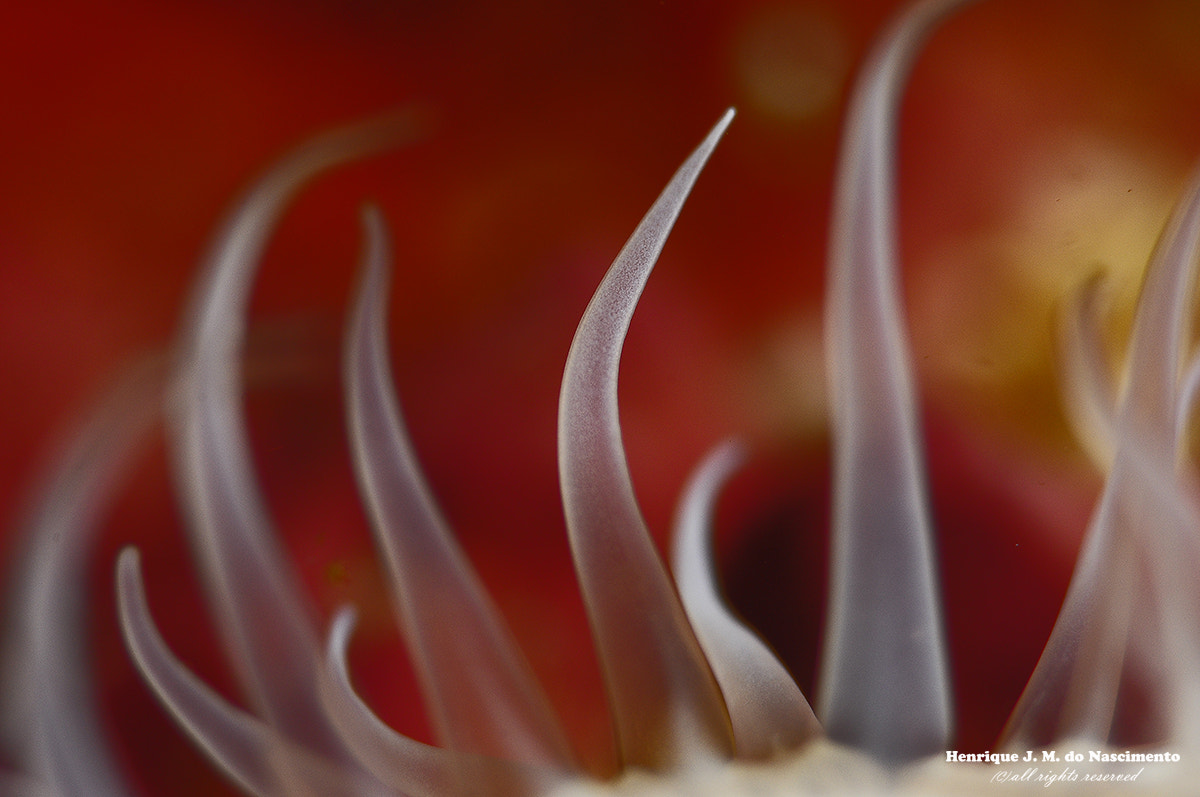 Sigma 105mm F2.8 EX DG OS HSM sample photo. So calm..... photography