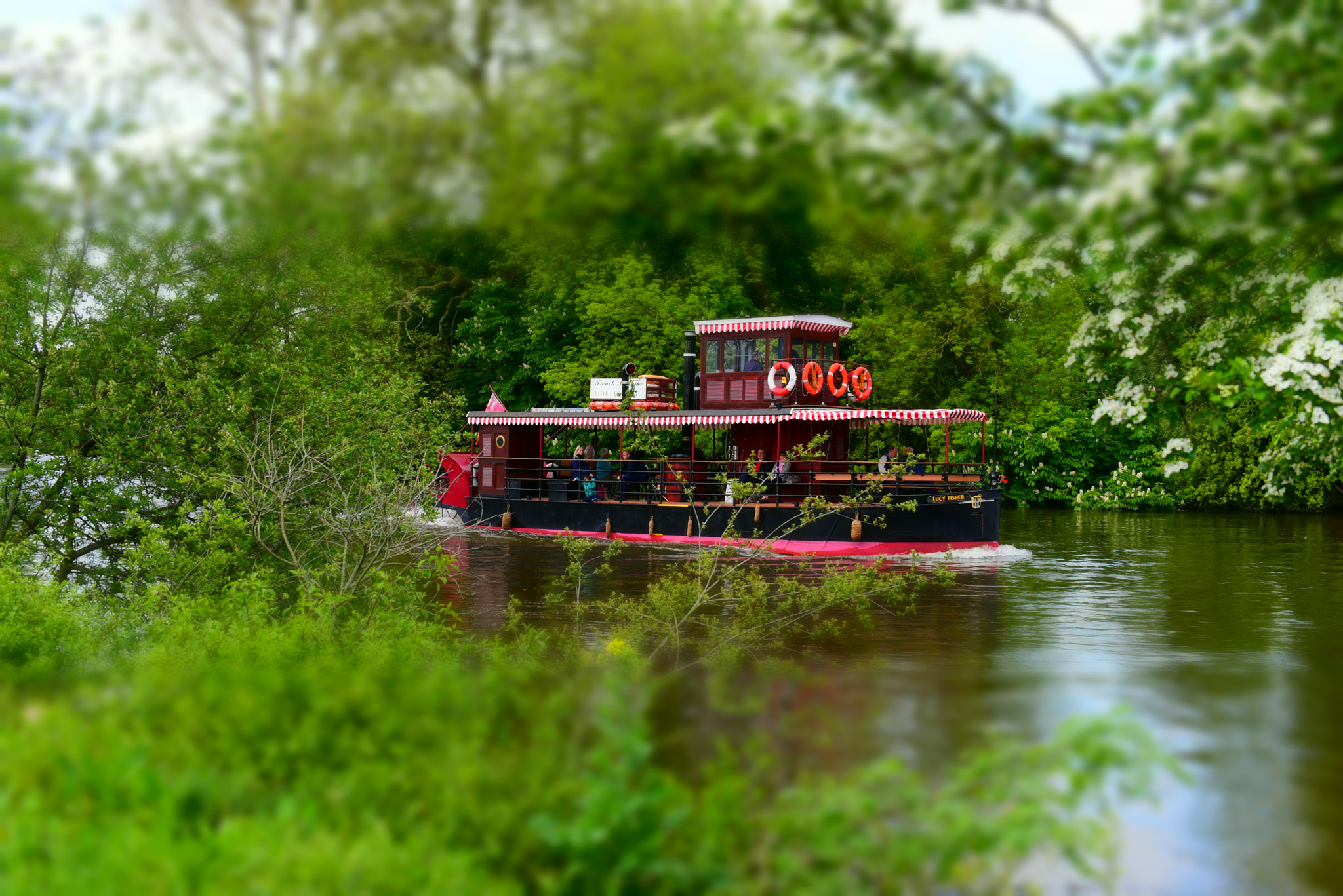 Sigma 50-500mm F4.5-6.3 DG OS HSM sample photo. Runnymede 14 may 2016 004 photography