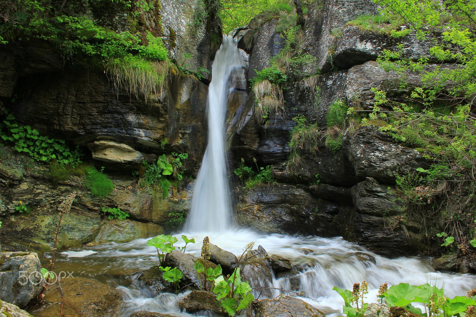Canon EF-S 18-55mm F3.5-5.6 sample photo. Harmony of water photography