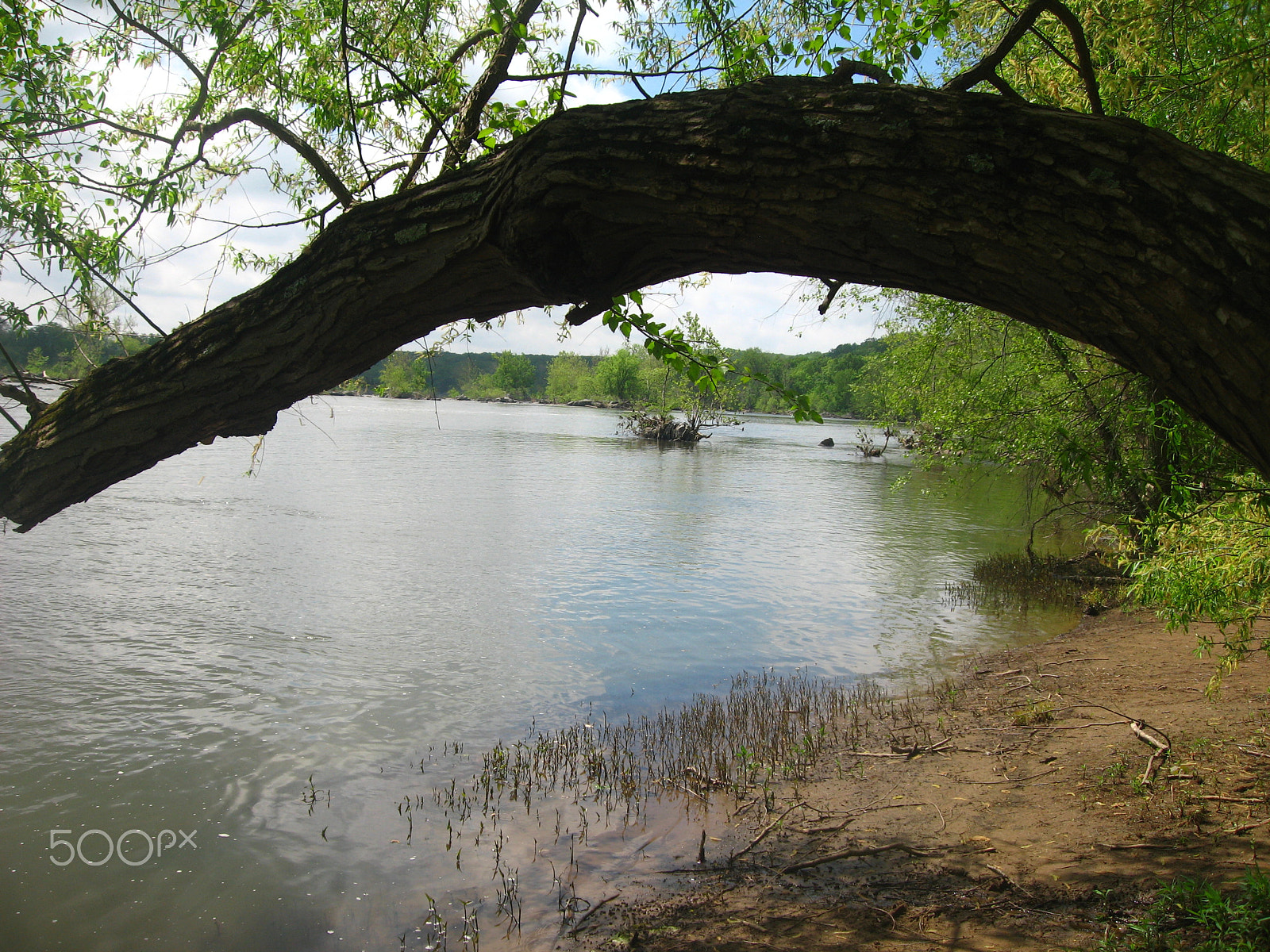 Canon POWERSHOT SD550 sample photo. Summer day at riverbend park photography