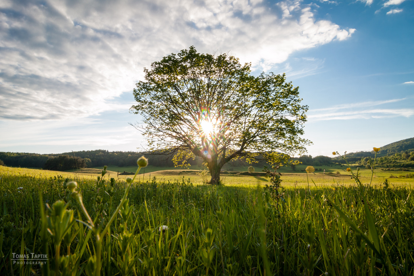 Tokina AT-X Pro 12-24mm F4 (IF) DX sample photo. Romantic photography