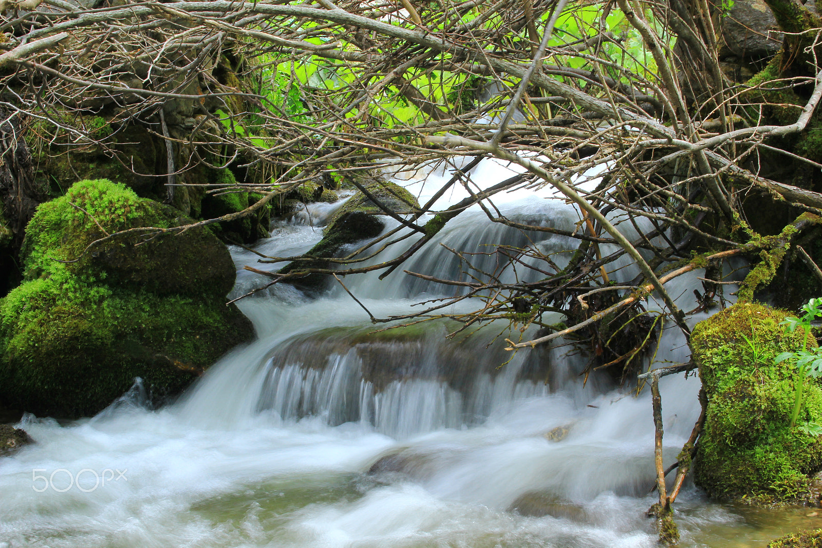 Canon EF-S 18-55mm F3.5-5.6 sample photo. #2 photography